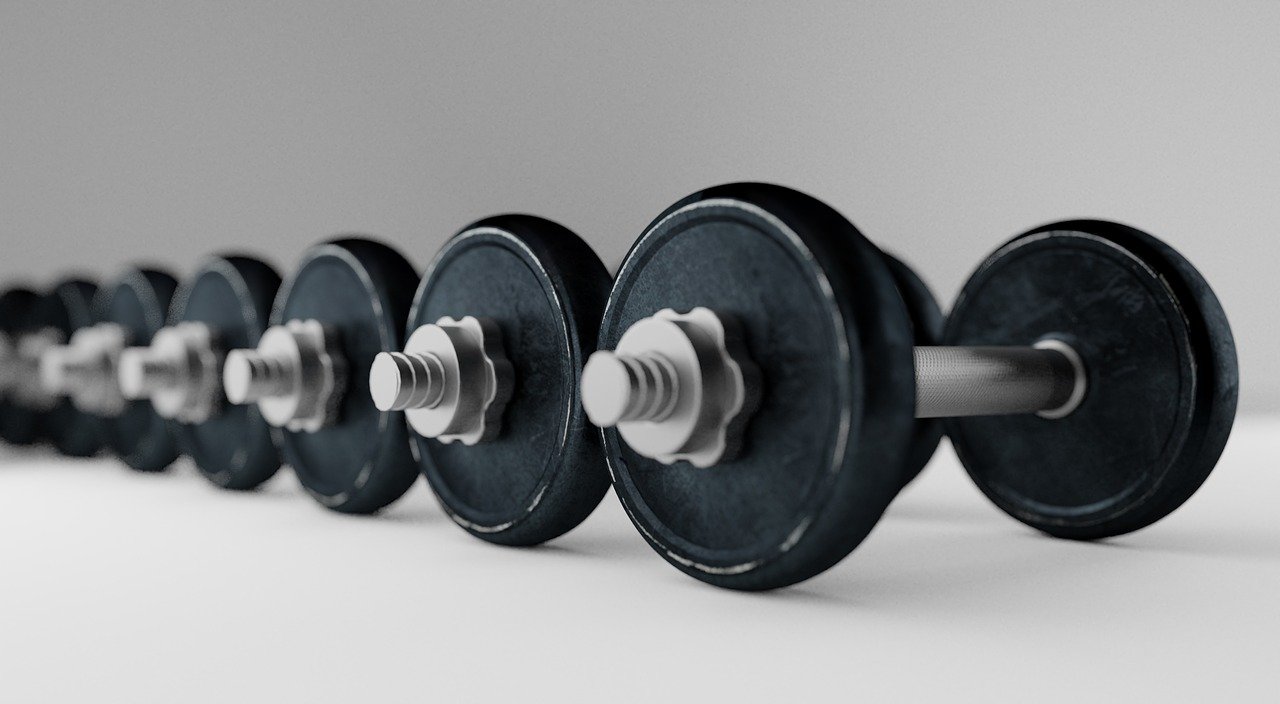 dumbell, barbell, bodybuilding, equipment, fitness, exercise, sport, gym, weight, workout, fit, healthy, lifting, training, heavy, strength, dumbbell, body, strong, weightlifting, muscle, gray fitness, gray gym, gray exercise, gray training, gray healthy, gray workout, gray sports, gray body, dumbell, gym, gym, gym, gym, gym